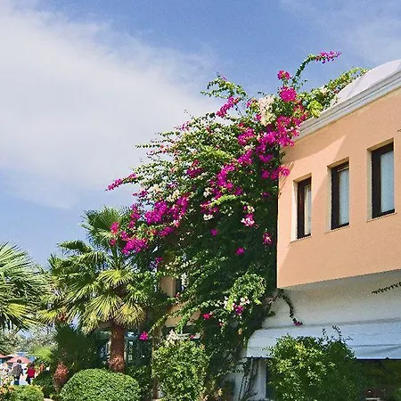 Resort Izer Club Torba