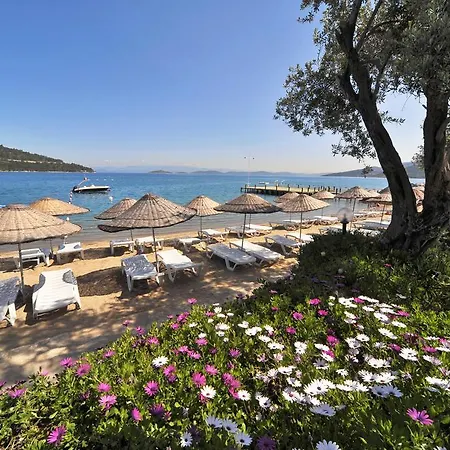 Üdülőközpont Izer Club Torba