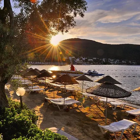 Resort Izer Club Torba