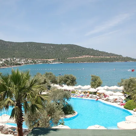 Izer Club 4* Torba