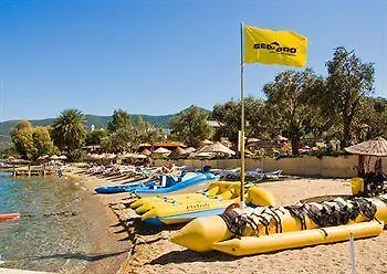 Izer Club 4* Torba