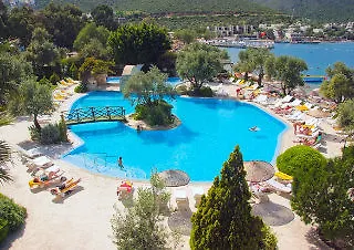 Izer Club Torba